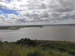 Flora del Cerro Masatrigo